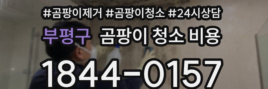부평구 곰팡이 청소 비용