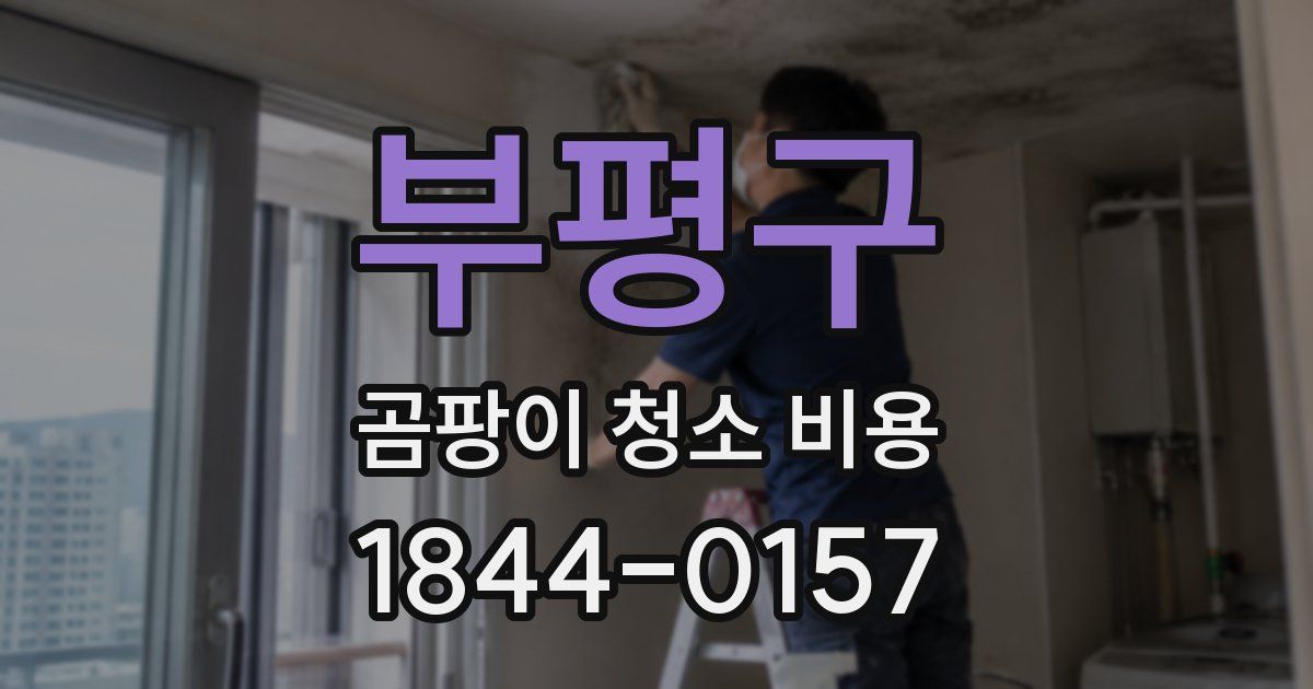 부평구 곰팡이 청소 비용