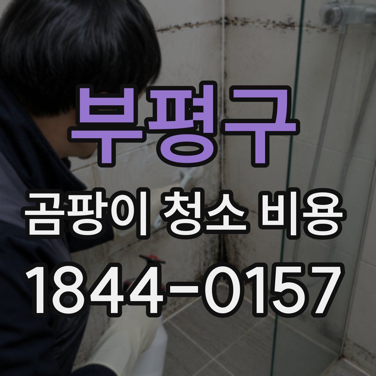 부평구 곰팡이 청소 비용
