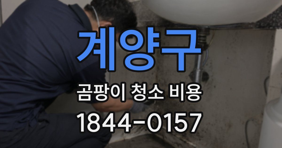 계양구 곰팡이 청소 비용