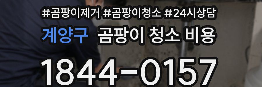 계양구 곰팡이 청소 비용