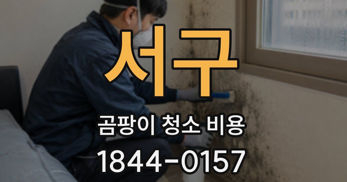 서구 곰팡이 청소 비용