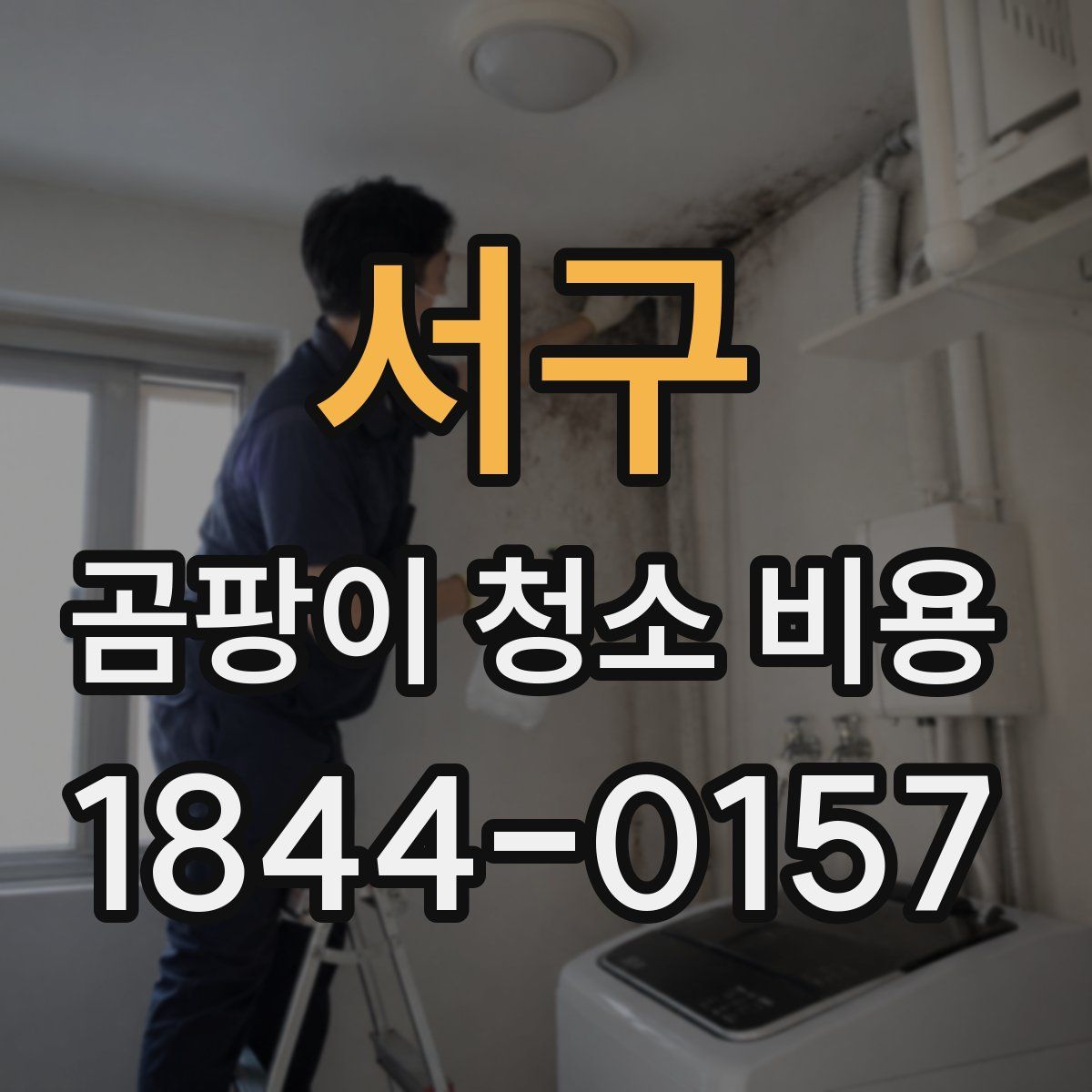 서구 곰팡이 청소 비용