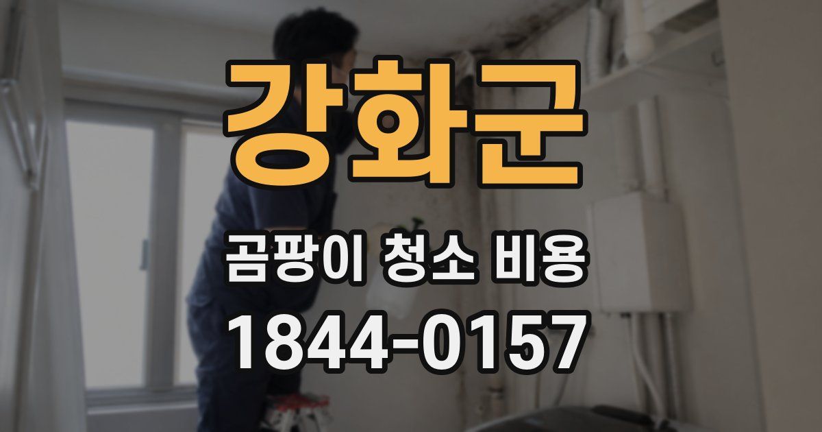 강화군 곰팡이 청소 비용