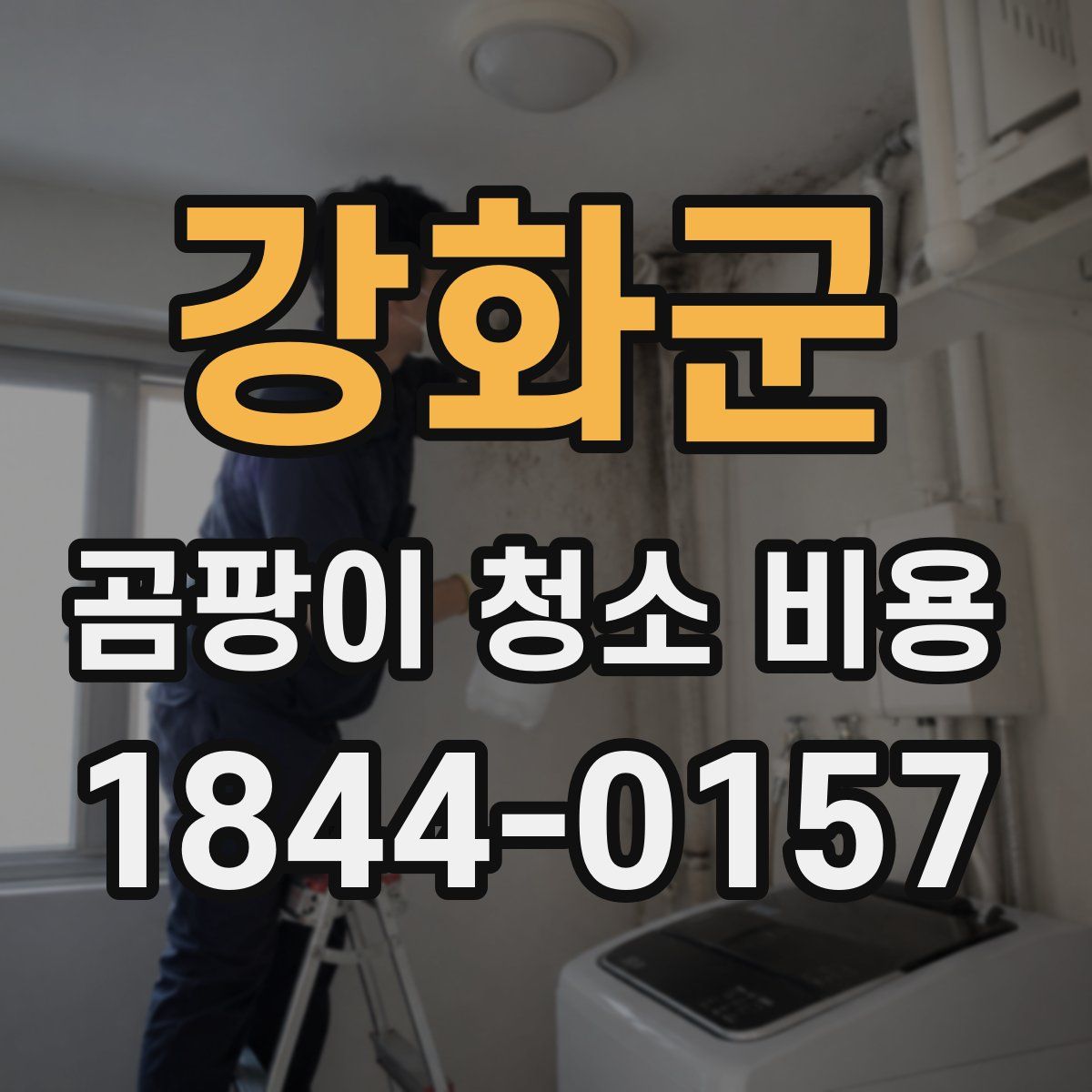 강화군 곰팡이 청소 비용