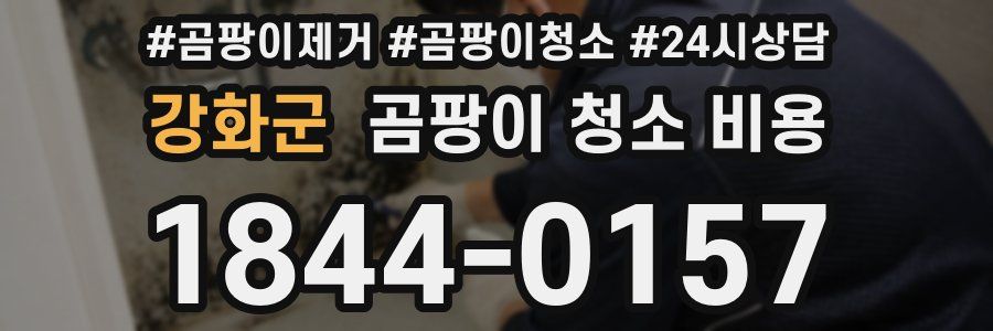 강화군 곰팡이 청소 비용