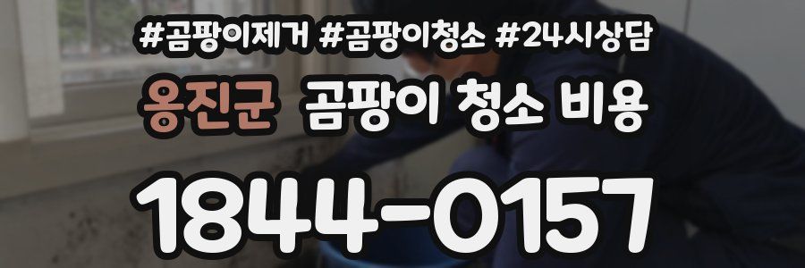 옹진군 곰팡이 청소 비용