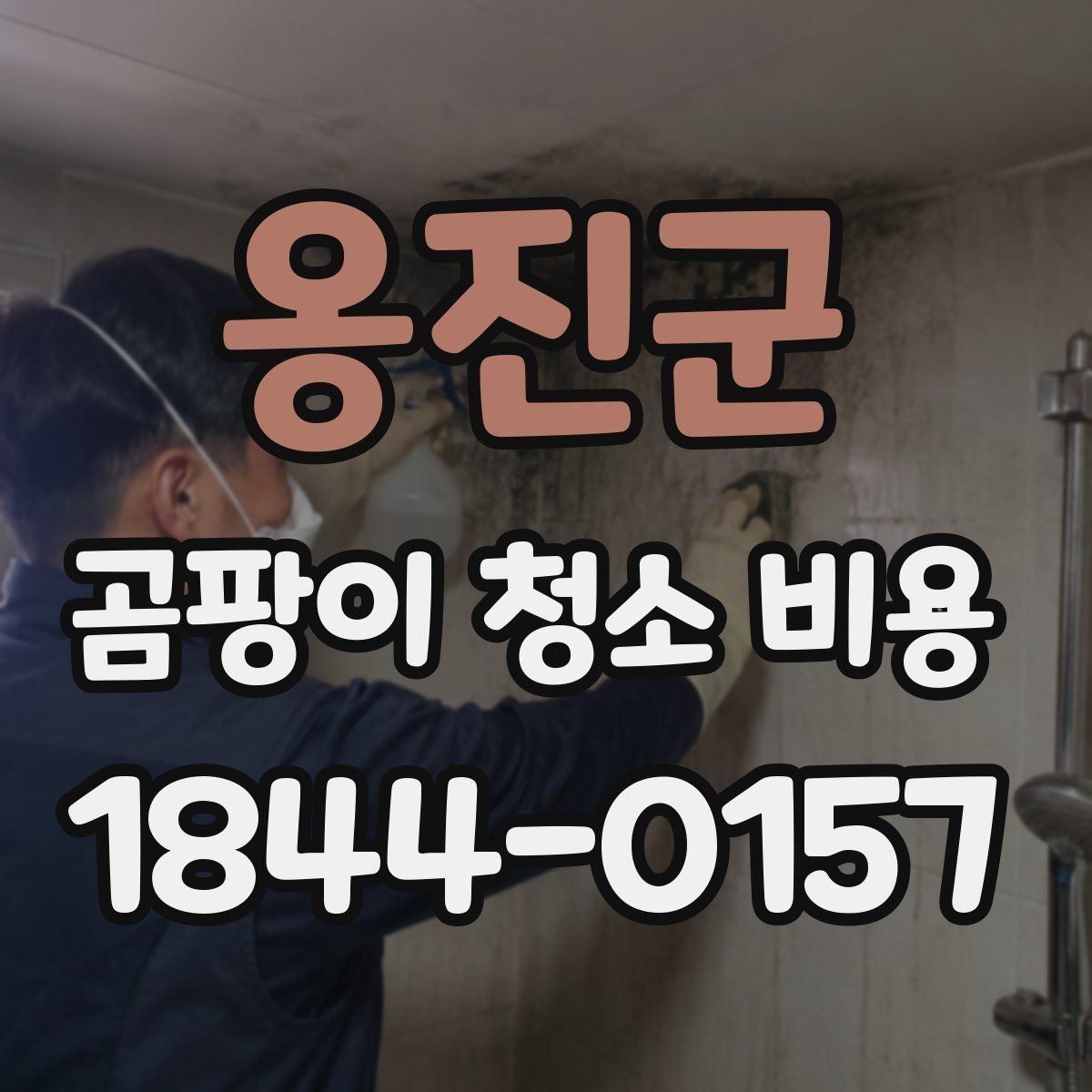 옹진군 곰팡이 청소 비용