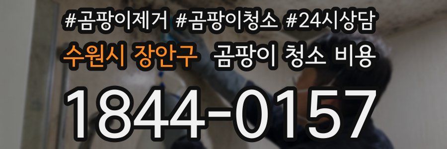 수원시 장안구 곰팡이 청소 비용