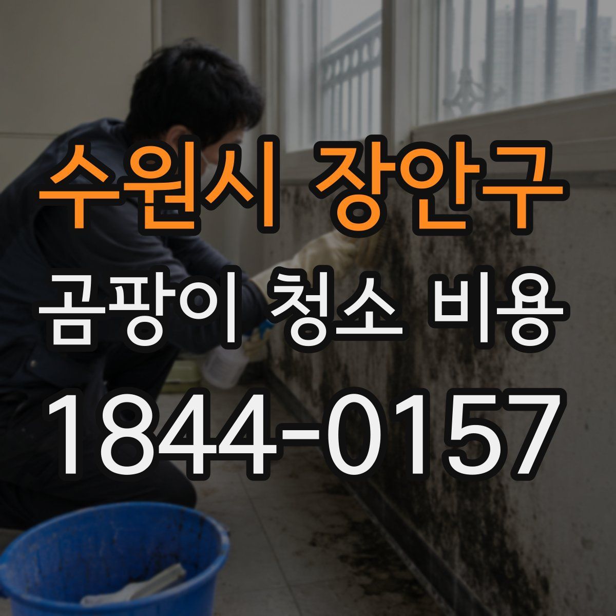 수원시 장안구 곰팡이 청소 비용