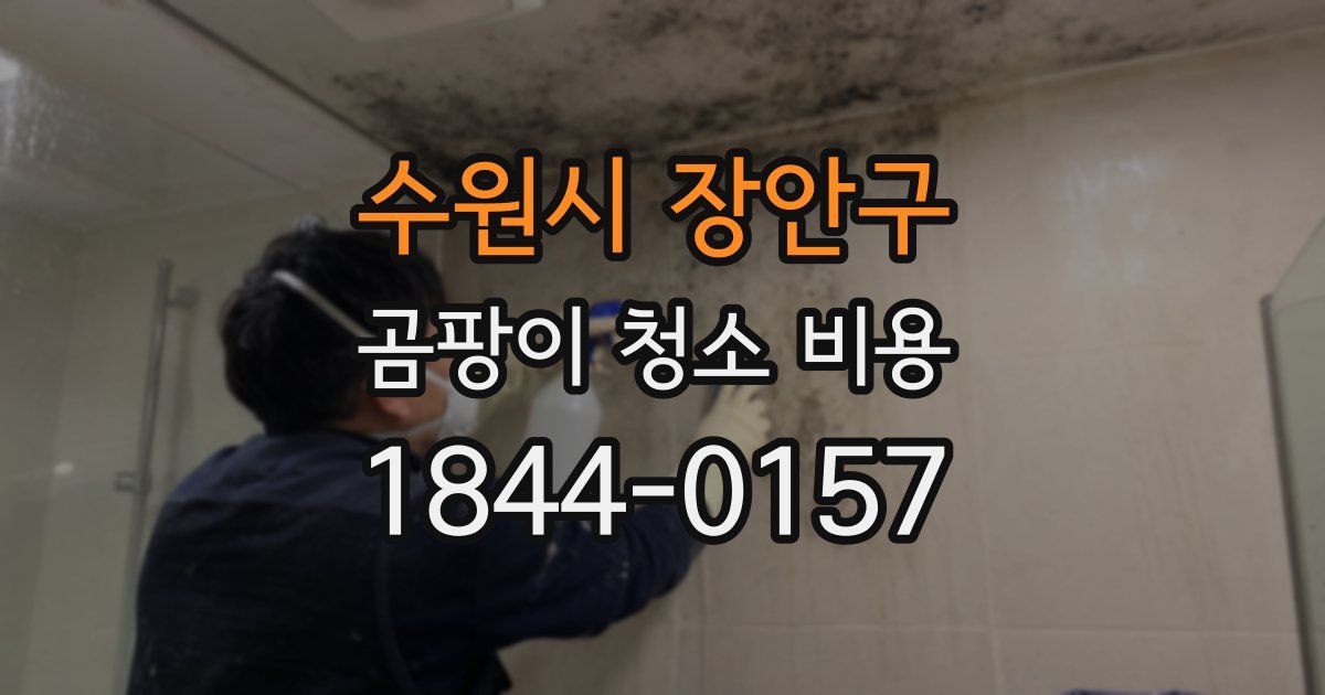 수원시 장안구 곰팡이 청소 비용