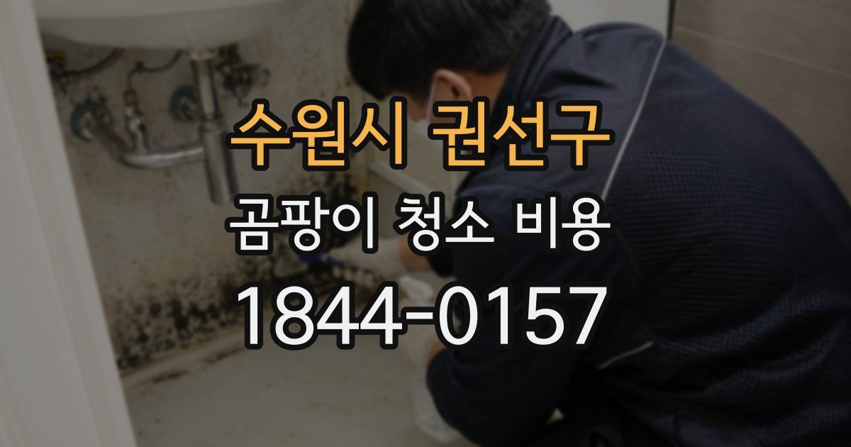 수원시 권선구 곰팡이 청소 비용