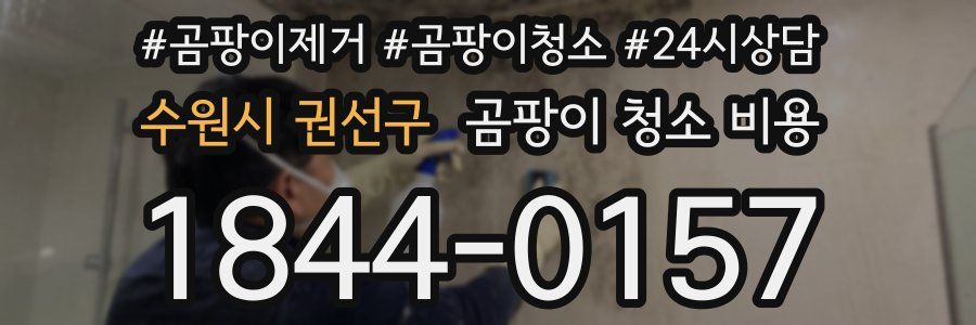 수원시 권선구 곰팡이 청소 비용