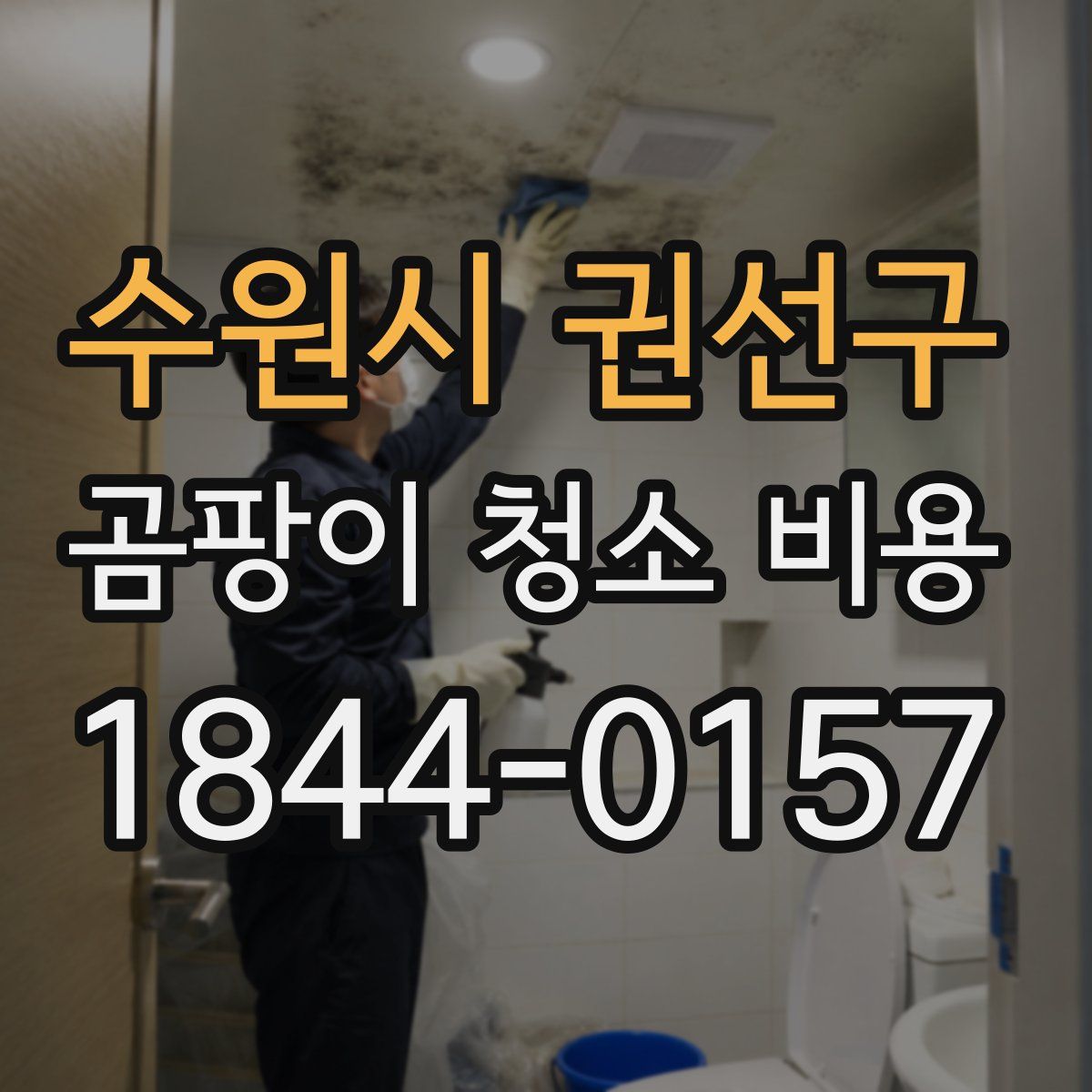 수원시 권선구 곰팡이 청소 비용