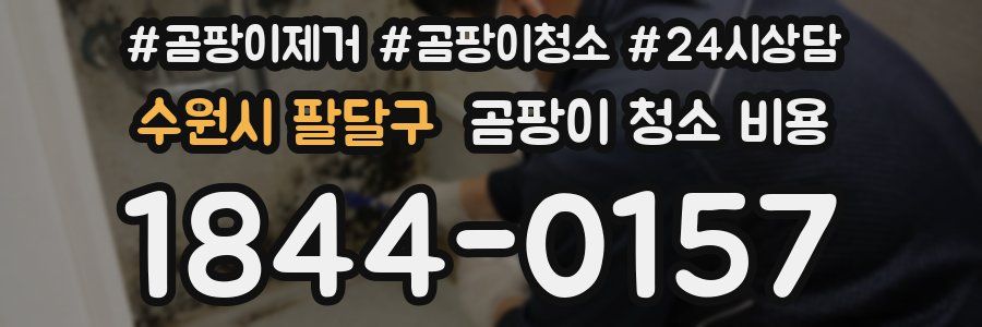 수원시 팔달구 곰팡이 청소 비용