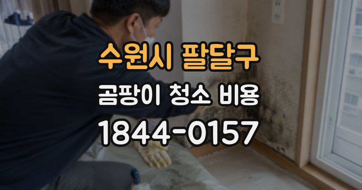 수원시 팔달구 곰팡이 청소 비용