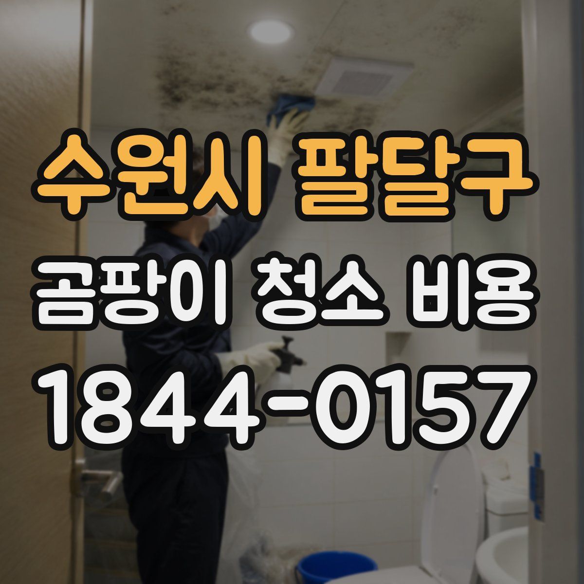 수원시 팔달구 곰팡이 청소 비용