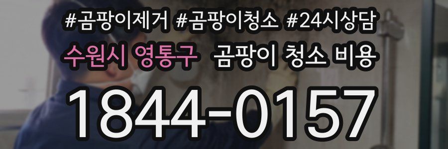 수원시 영통구 곰팡이 청소 비용