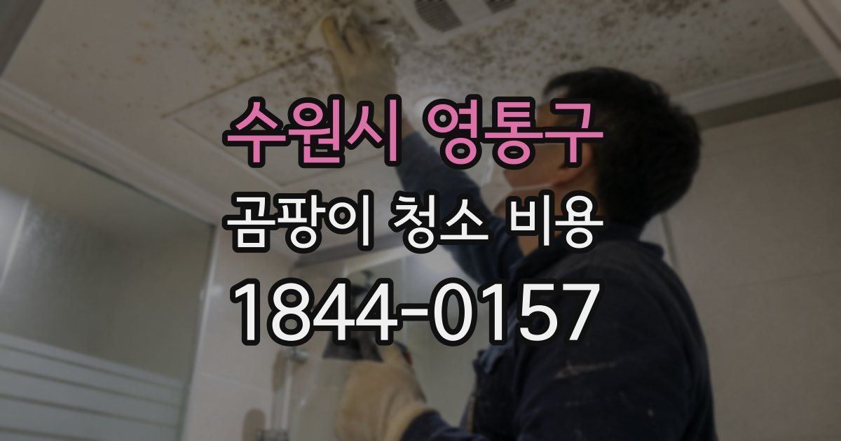 수원시 영통구 곰팡이 청소 비용