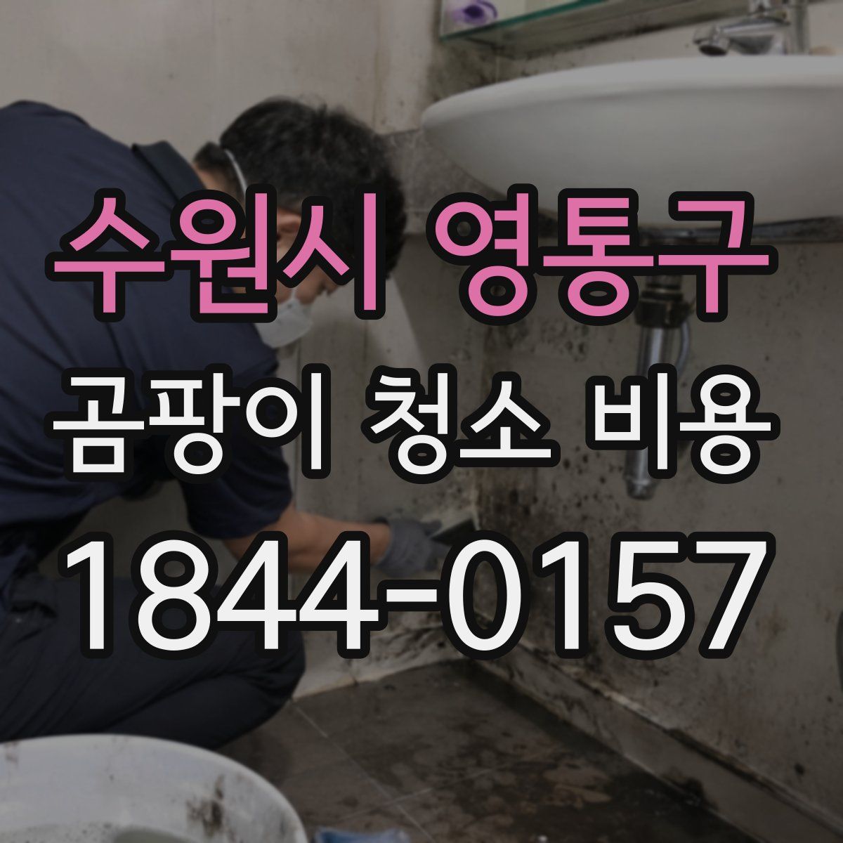 수원시 영통구 곰팡이 청소 비용