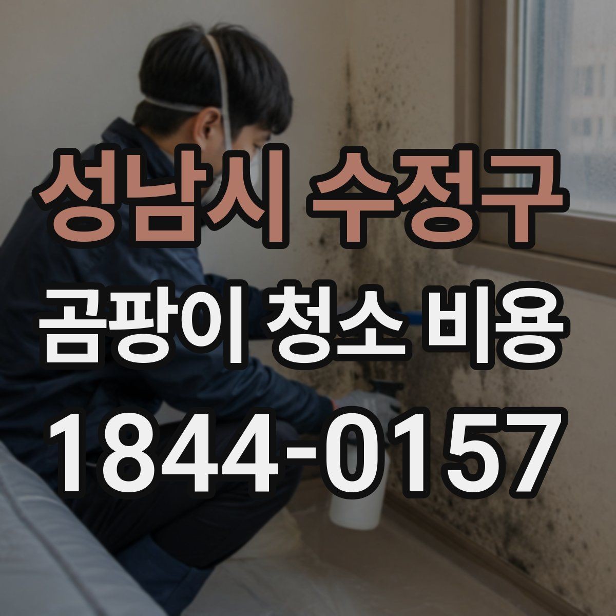 성남시 수정구 곰팡이 청소 비용 벽지 뜯음이 포함될 때 견적 살펴보기