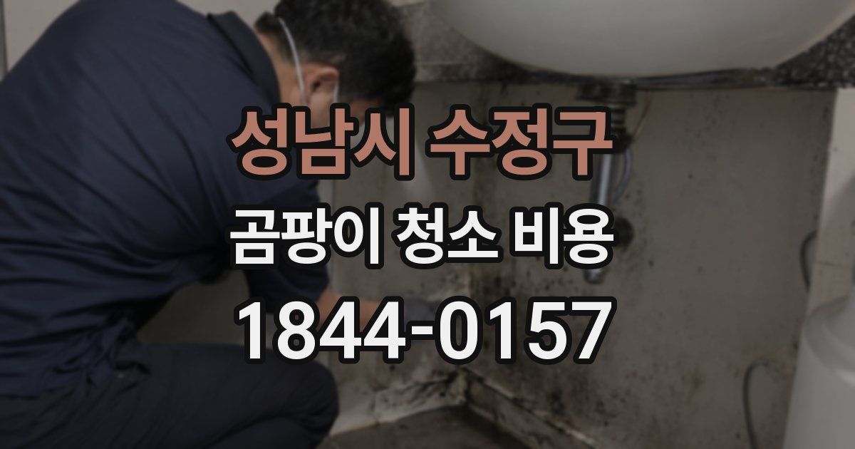 성남시 수정구 곰팡이 청소 비용