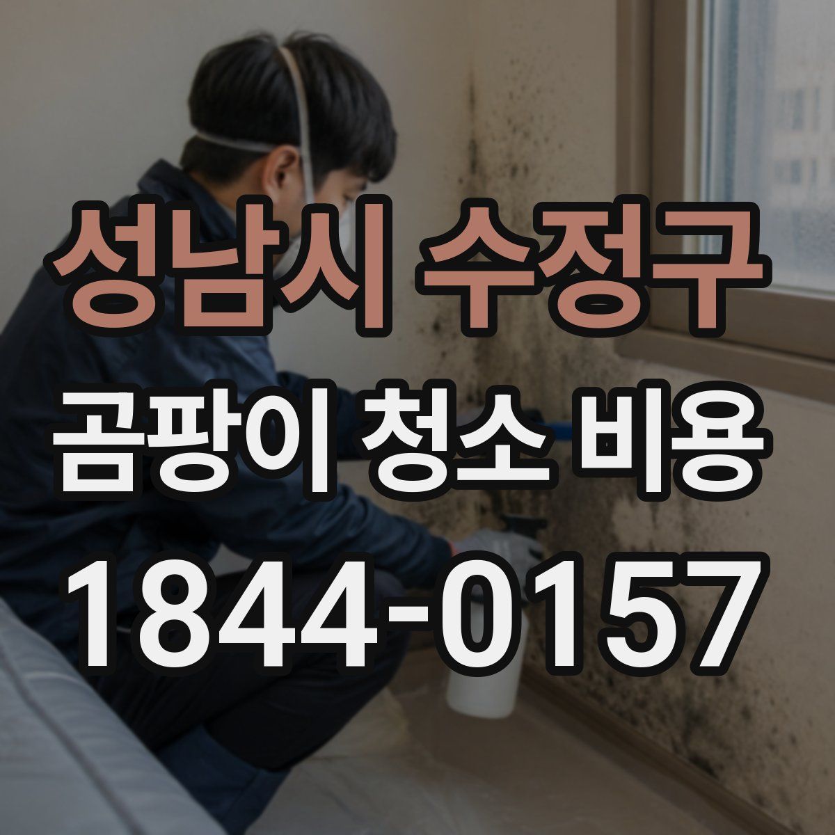 성남시 수정구 곰팡이 청소 비용