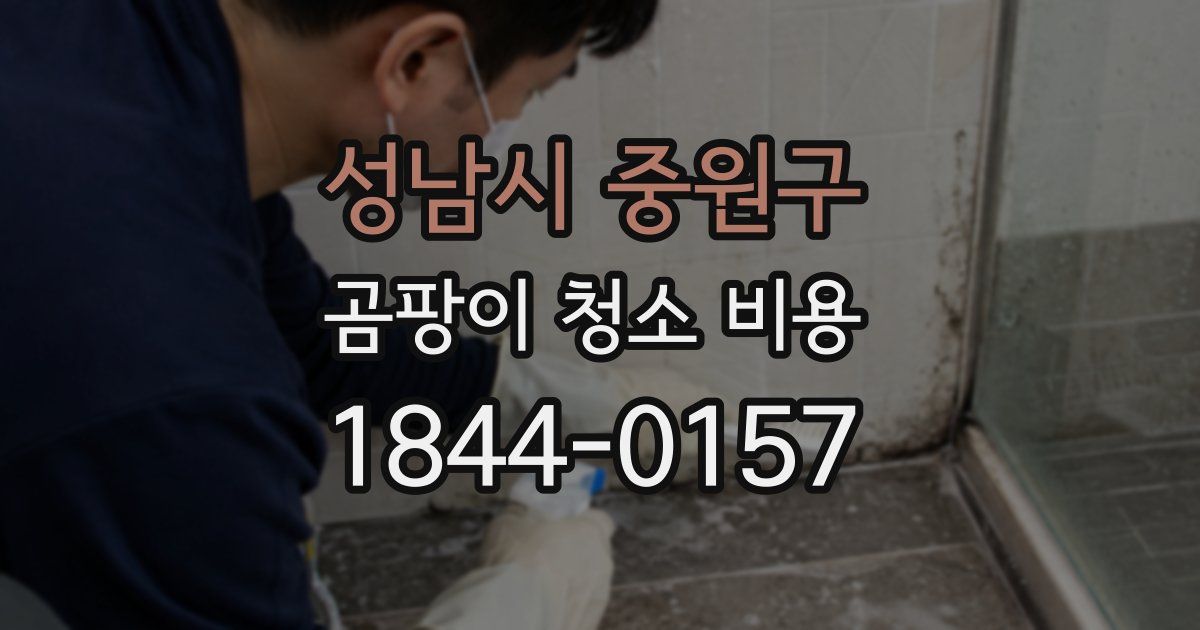 성남시 중원구 곰팡이 청소 비용