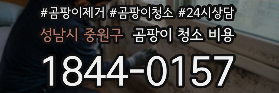 성남시 중원구 곰팡이 청소 비용