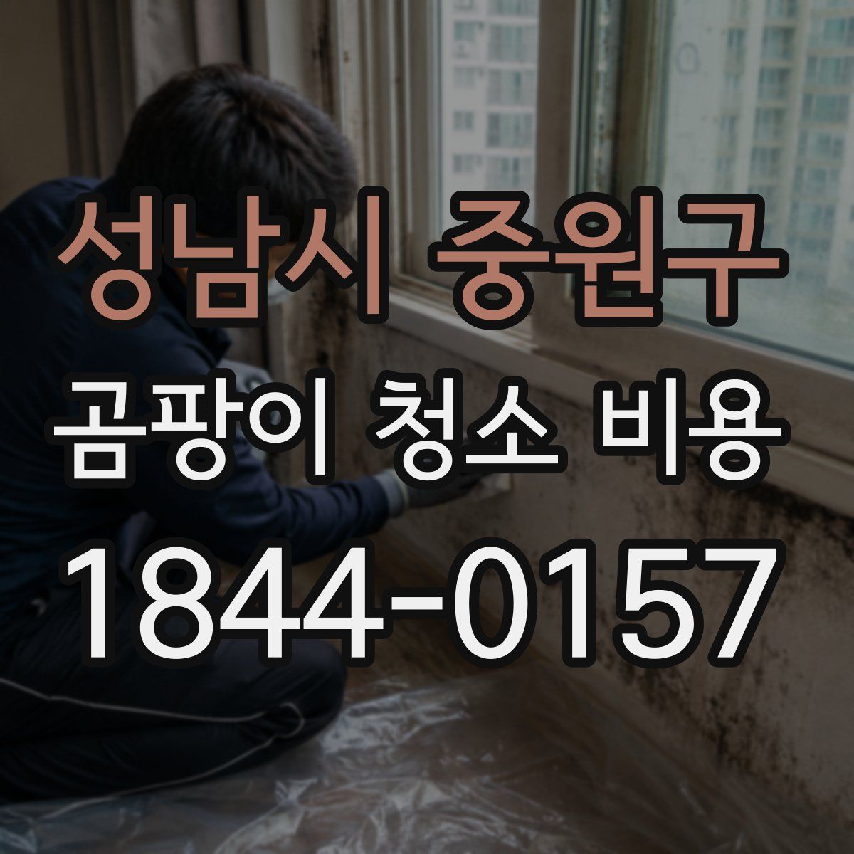성남시 중원구 곰팡이 청소 비용