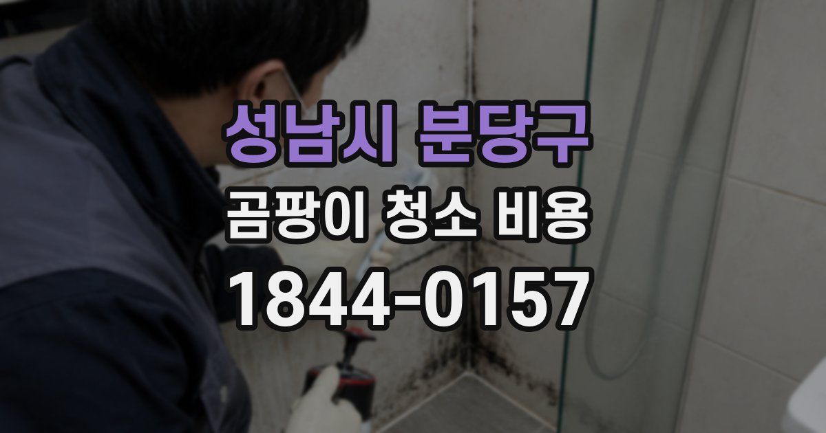 성남시 분당구 곰팡이 청소 비용