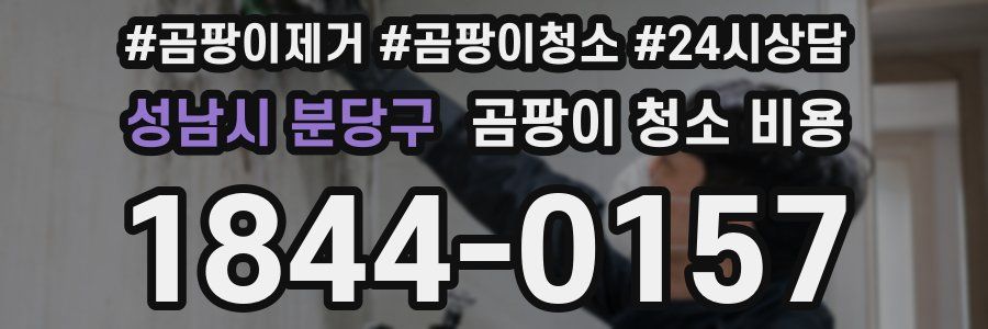 성남시 분당구 곰팡이 청소 비용