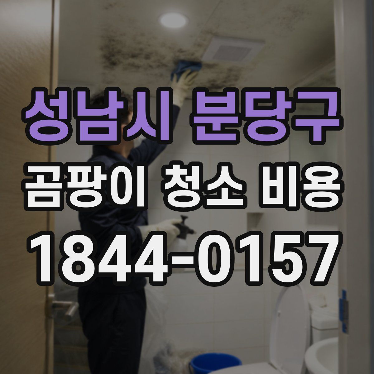 성남시 분당구 곰팡이 청소 비용