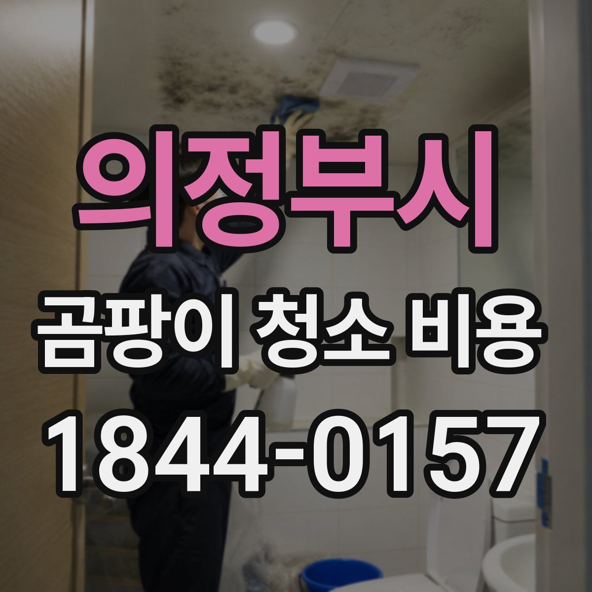 의정부시 곰팡이 청소 비용