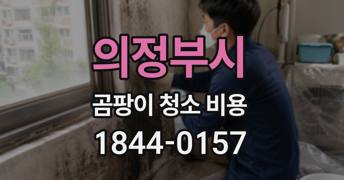 의정부시 곰팡이 청소 비용