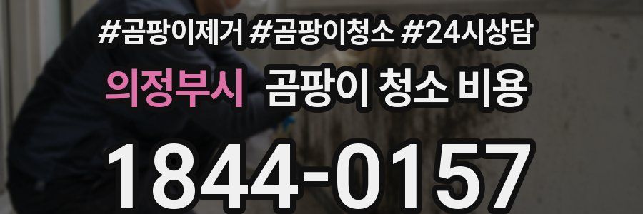 의정부시 곰팡이 청소 비용