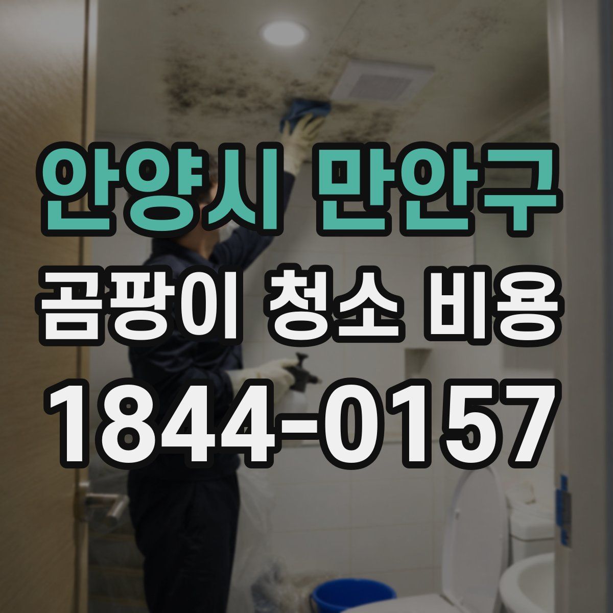 안양시 만안구 곰팡이 청소 비용