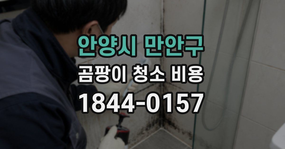 안양시 만안구 곰팡이 청소 비용
