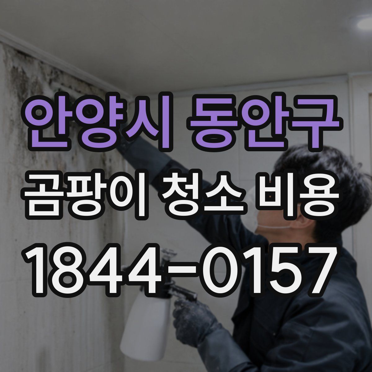 안양시 동안구 곰팡이 청소 비용