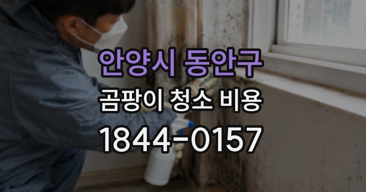 안양시 동안구 곰팡이 청소 비용