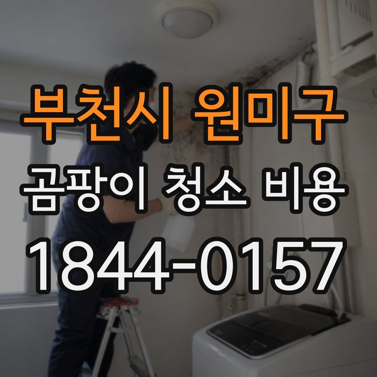 부천시 원미구 곰팡이 청소 비용