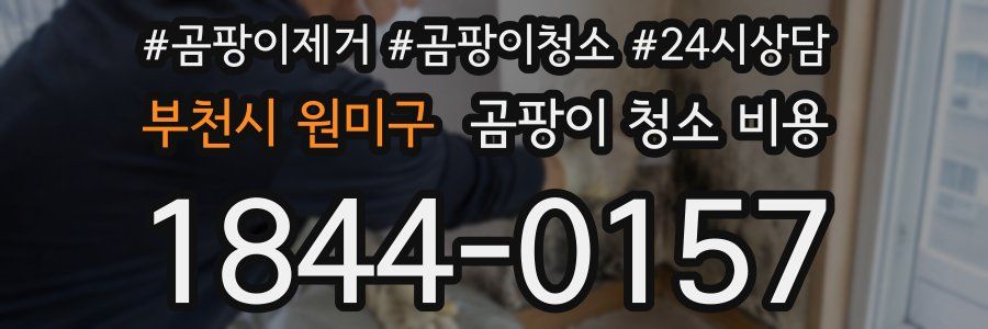 부천시 원미구 곰팡이 청소 비용