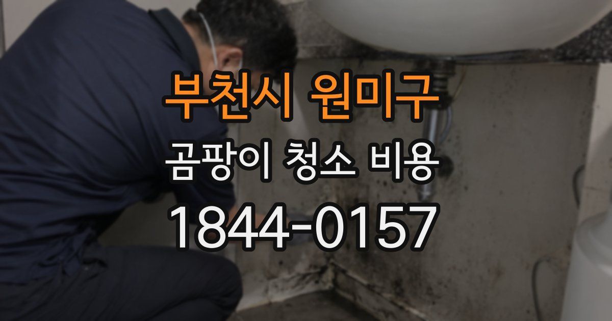 부천시 원미구 곰팡이 청소 비용