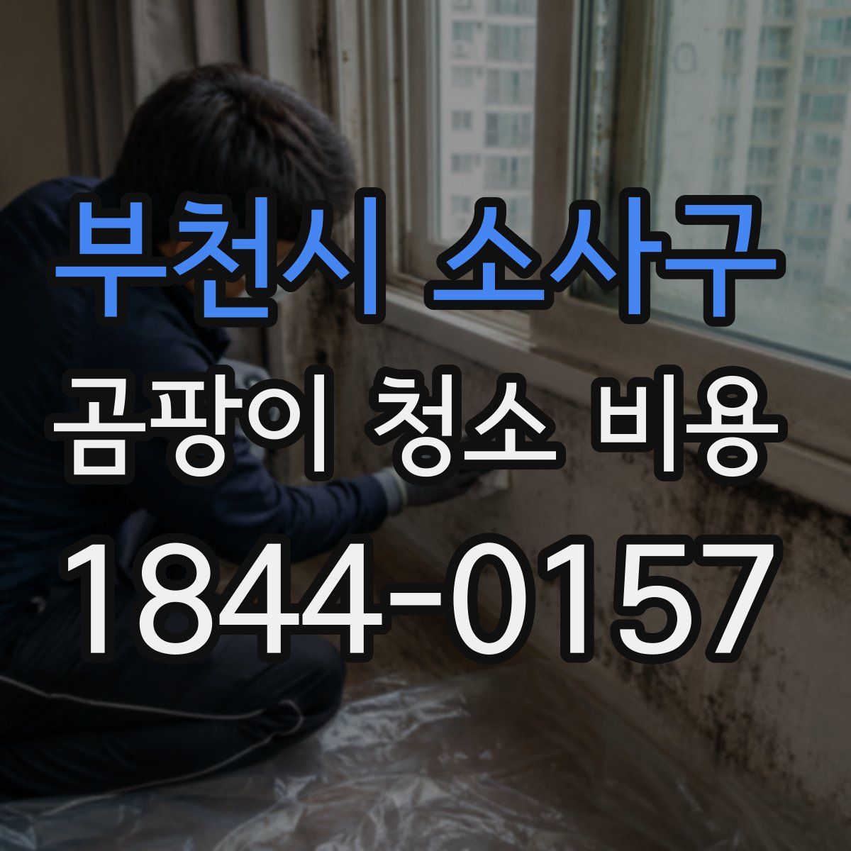 부천시 소사구 곰팡이 청소 비용