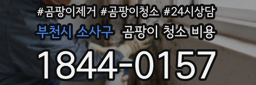 부천시 소사구 곰팡이 청소 비용