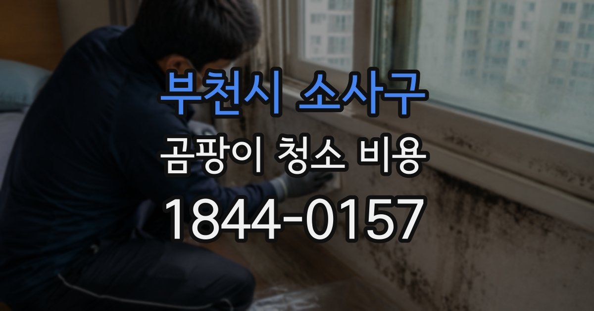 부천시 소사구 곰팡이 청소 비용