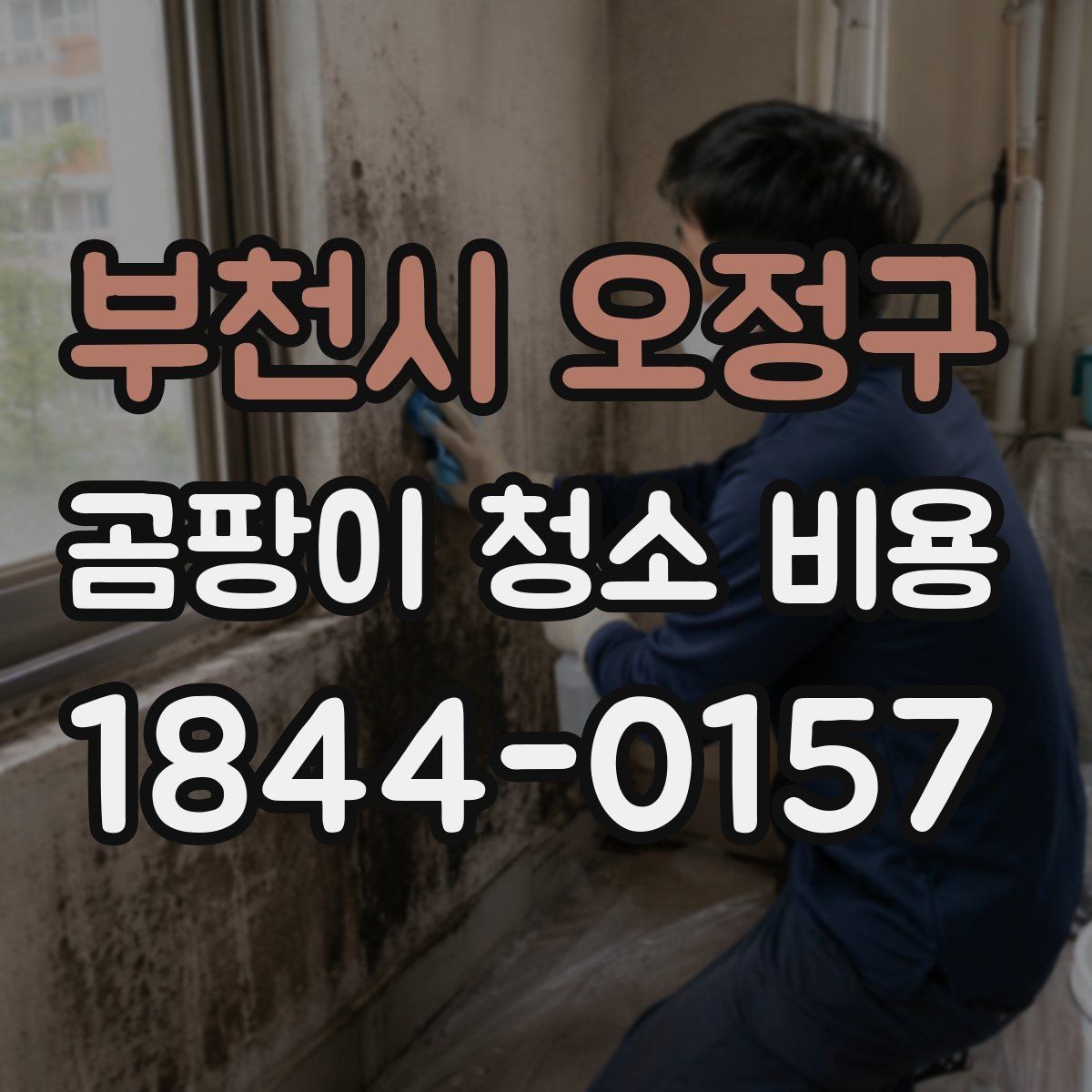 부천시 오정구 곰팡이 청소 비용 마감재 손상 없이 진행하려면