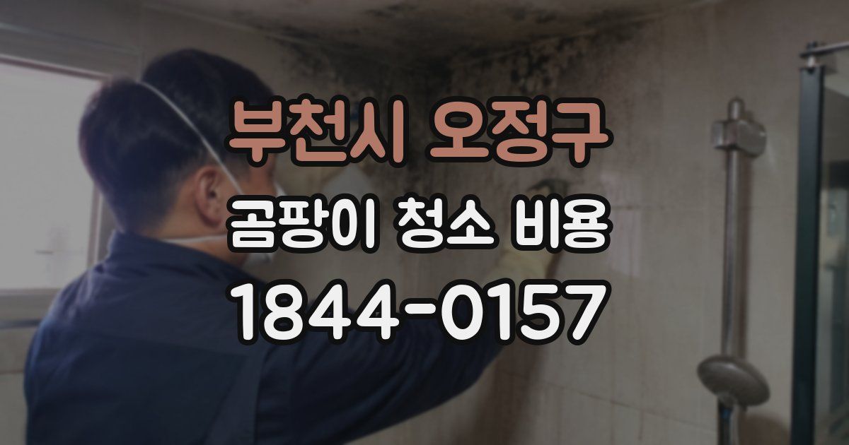 부천시 오정구 곰팡이 청소 비용