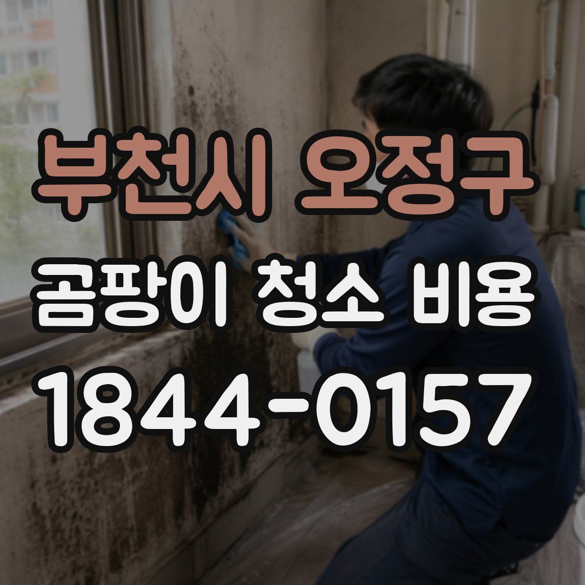 부천시 오정구 곰팡이 청소 비용