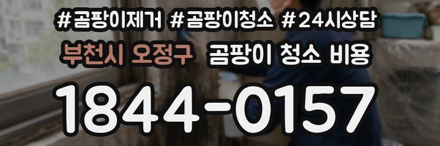 부천시 오정구 곰팡이 청소 비용